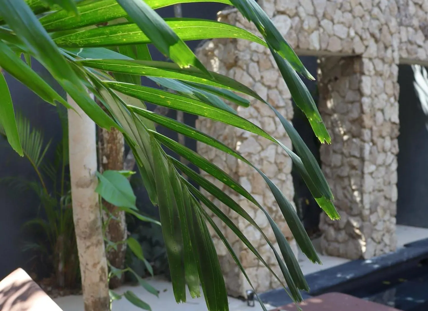 Casa Valkinia Luxury Villa W Private Pool Tulum 0*,  Mexico